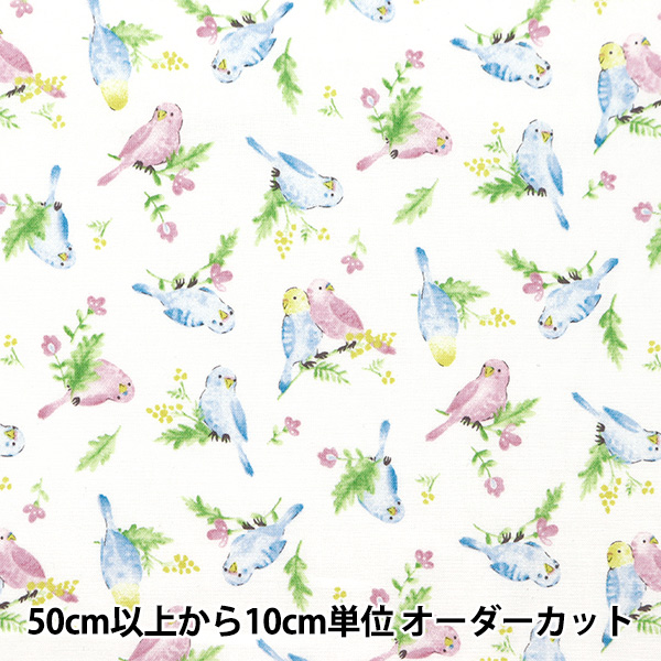 �y����5����z ���n �w�V�[�`���O �J���t���L�����o�X ���ʃC���R�� �z���C�g COCAN-BIR-WH�x KOKKA �R�b�J