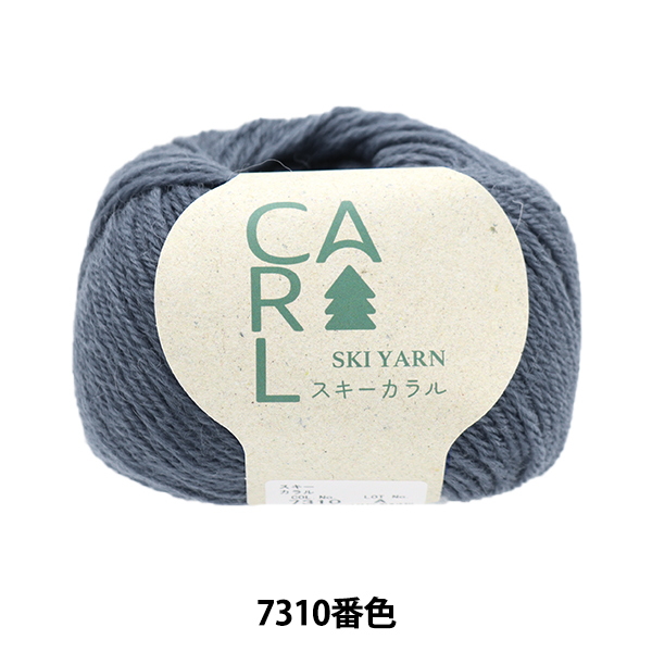 �H�~�ю� �w�X�L�[�J���� 7310�ԐF�x SKIYARN �X�L�[���[��