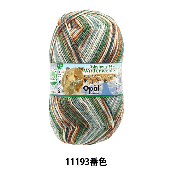 Opal オパール 熱帯雨林10 550g ソックヤーン 毛糸-