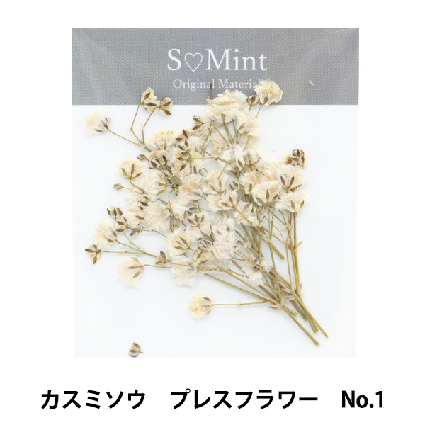 Yahoo! Yahoo!ショッピング(ヤフー ショッピング)レジン材料 『カスミソウ プレスフラワー No.1』 SMint エスミント