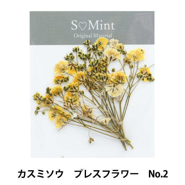 Yahoo! Yahoo!ショッピング(ヤフー ショッピング)レジン材料 『カスミソウ プレスフラワー No.2』 SMint エスミント