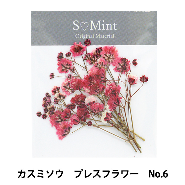 Yahoo! Yahoo!ショッピング(ヤフー ショッピング)レジン材料 『カスミソウ プレスフラワー No.6』 SMint エスミント