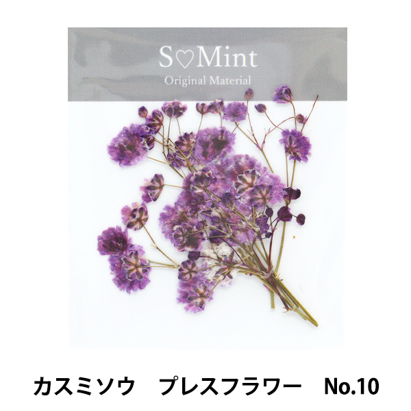 Yahoo! Yahoo!ショッピング(ヤフー ショッピング)レジン材料 『カスミソウ プレスフラワー No.10』 SMint エスミント