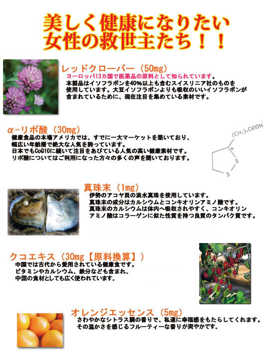 商品説明 画像