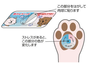 肉きゅうパッチ使用方法
