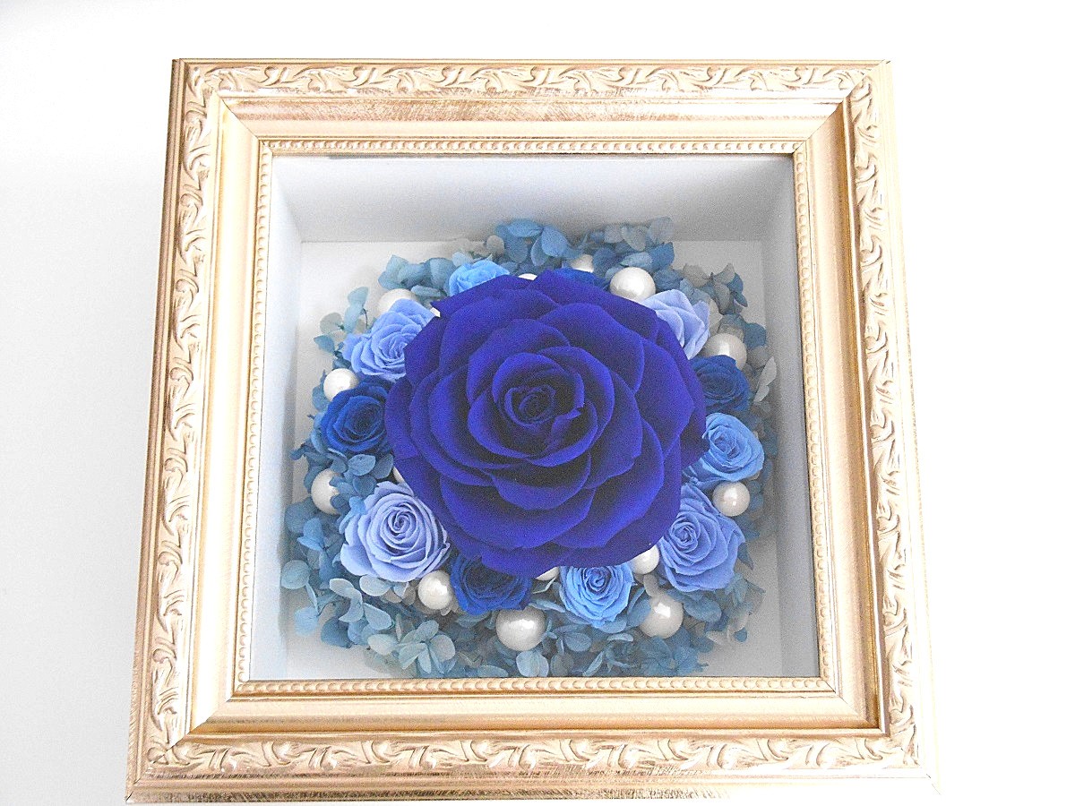 青い薔薇 様@AF & KC & IW 000000000157.jpg