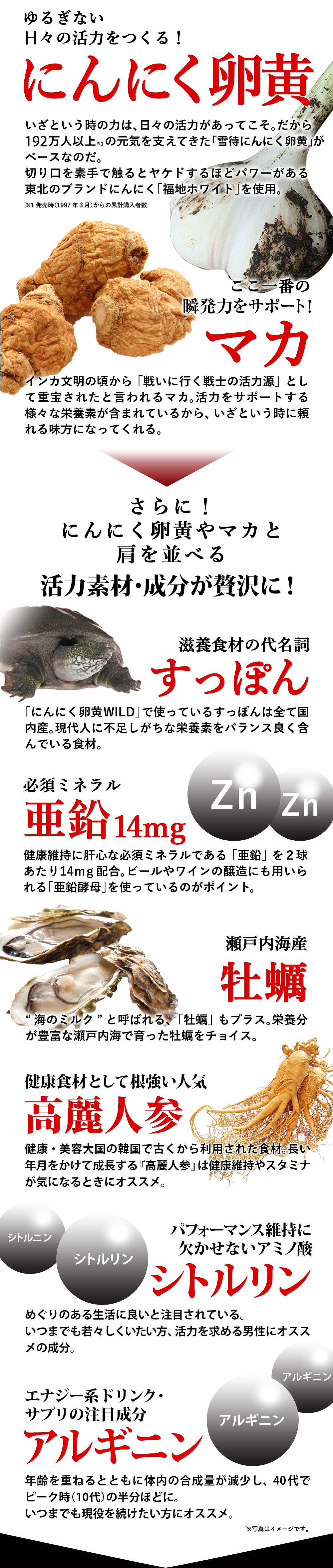 やずや にんにく卵黄WILD
