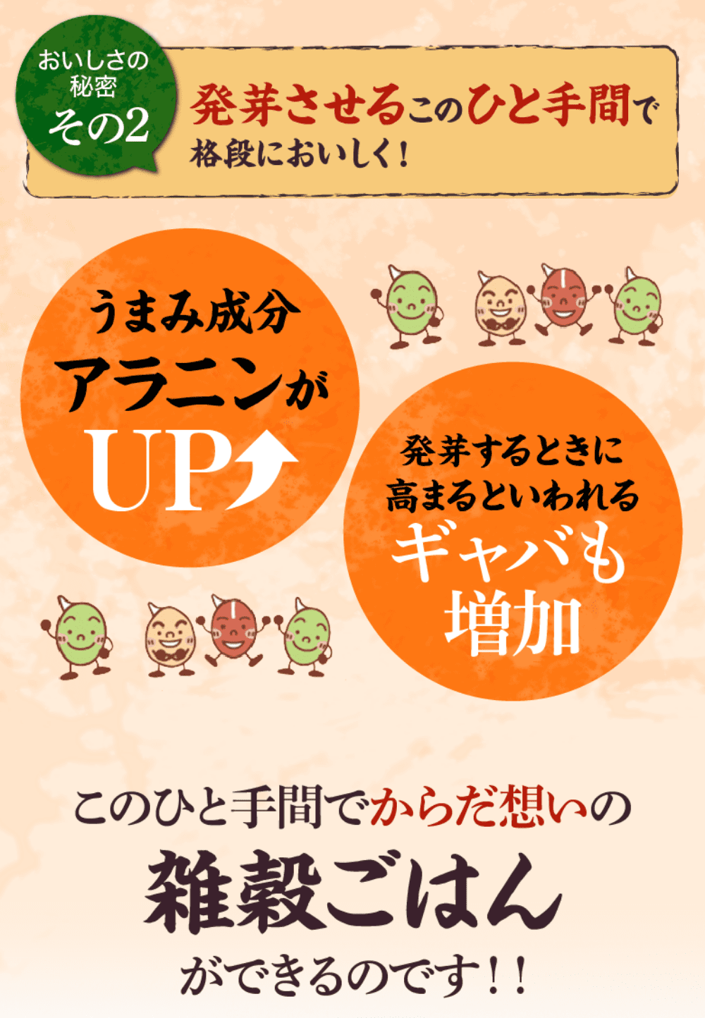 やずや 発芽十六雑穀 お徳用サイズ