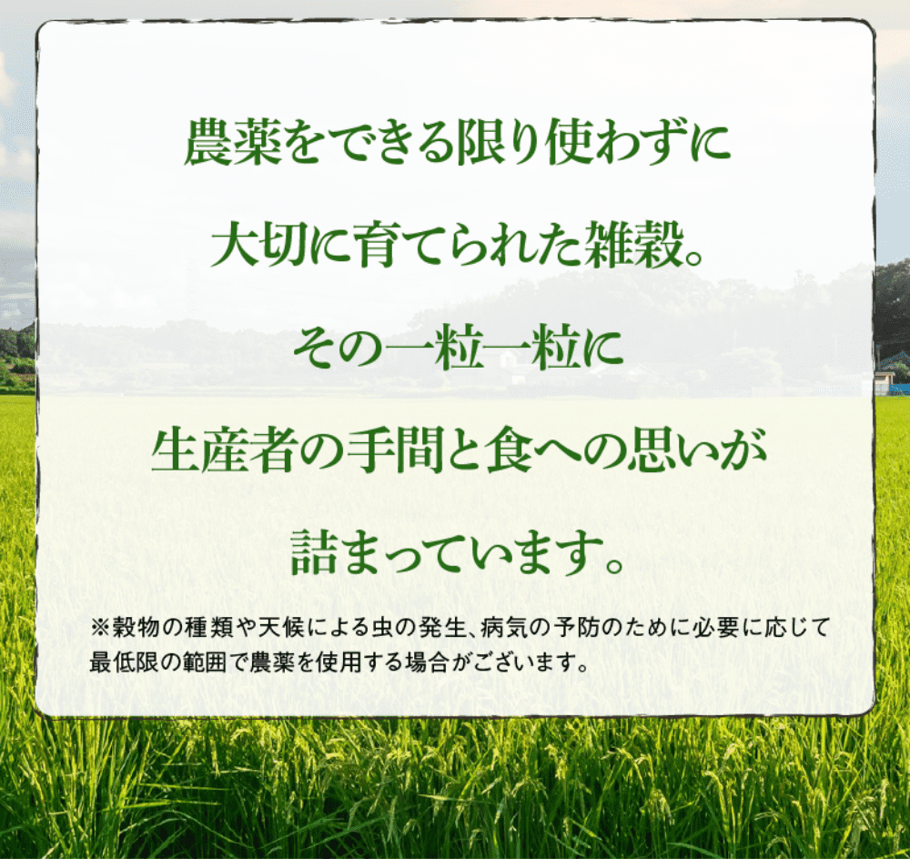 やずや 発芽十六雑穀 お徳用サイズ