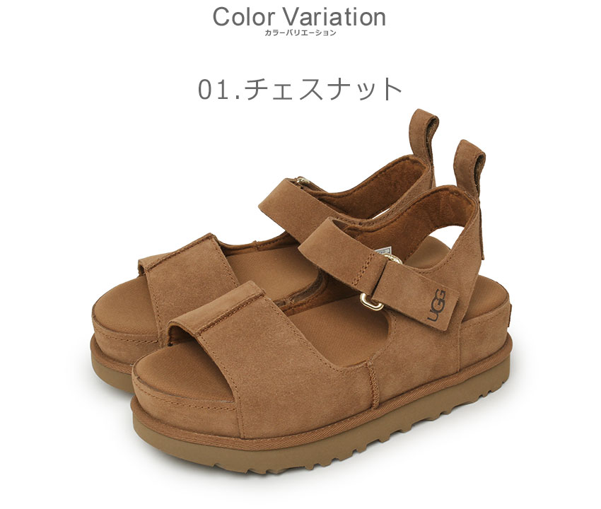 UGG アグ サンダル レディース ゴールデンスター ハイ 1167356
