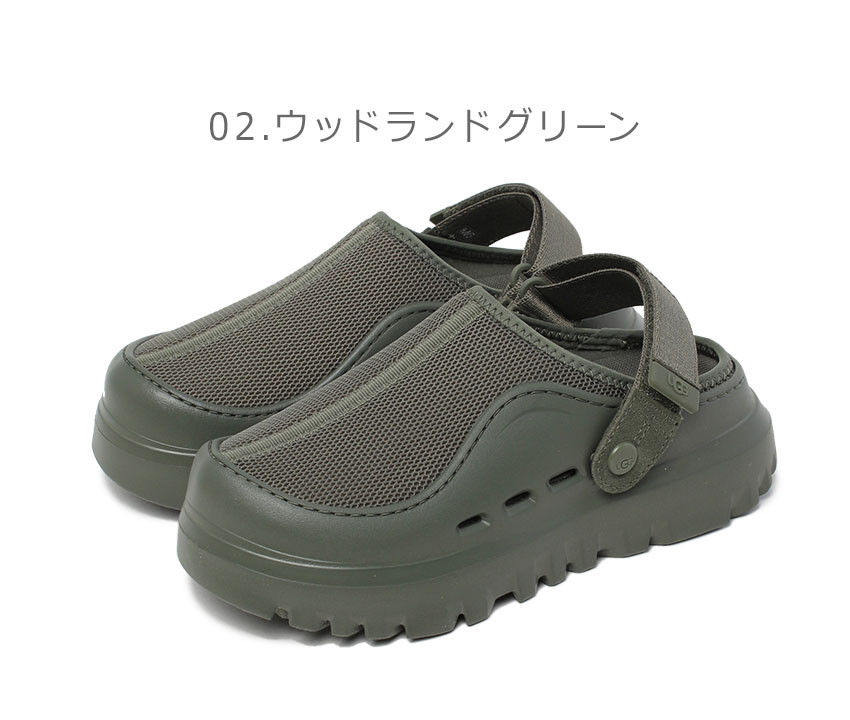 1262-0369-co2.jpg