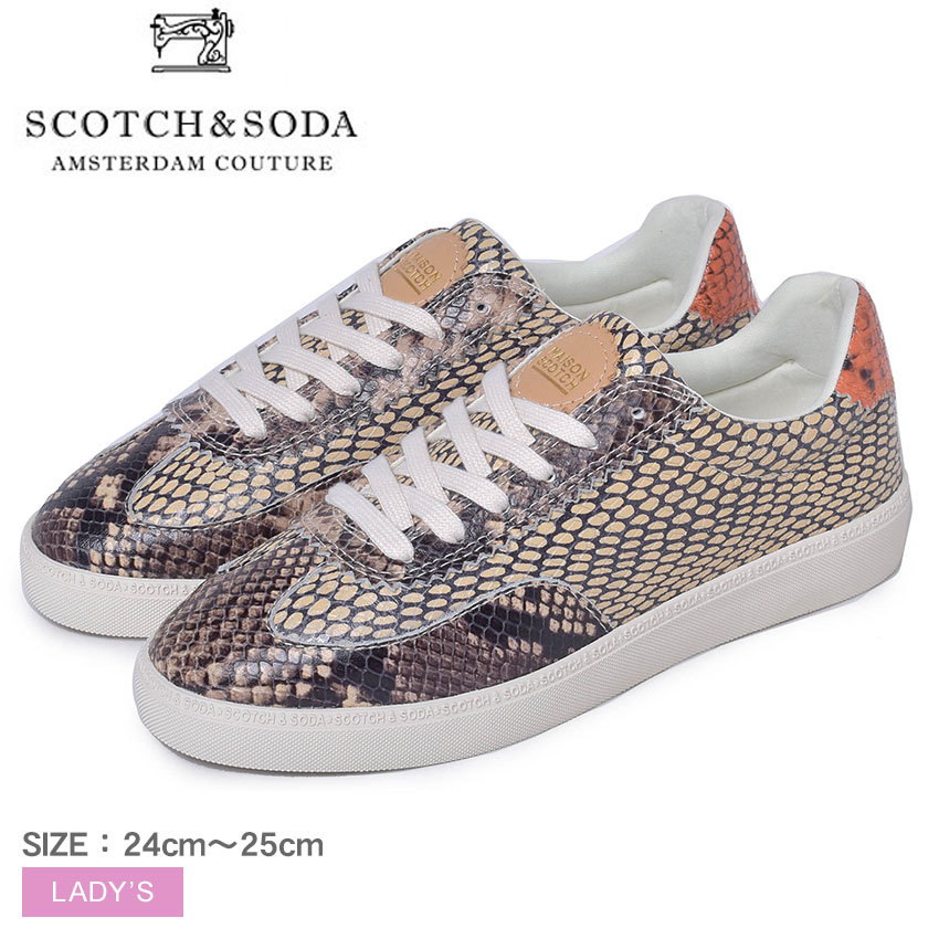 スコッチ＆ソーダ ローライト