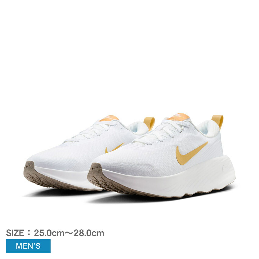 NIKE ナイキ トレーニングシューズ メンズ プロミナ FV5285