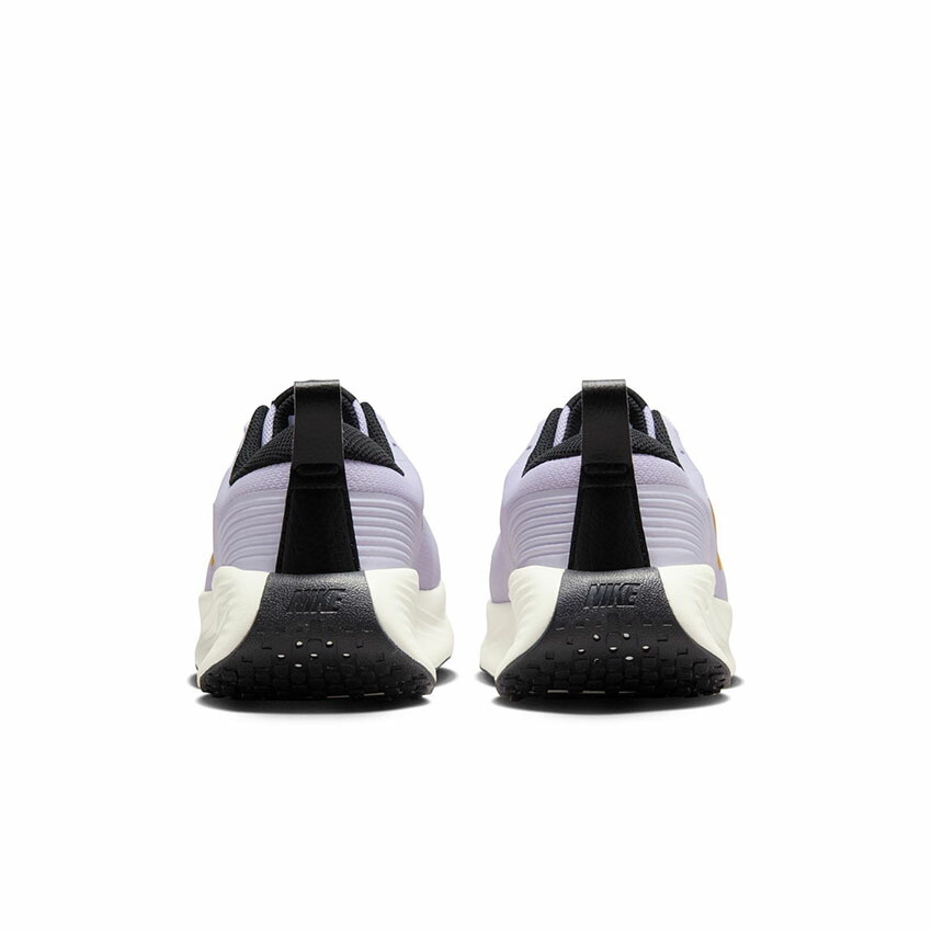 NIKE（ナイキ） ウォーキングシューズ レディース NIKE FV6343