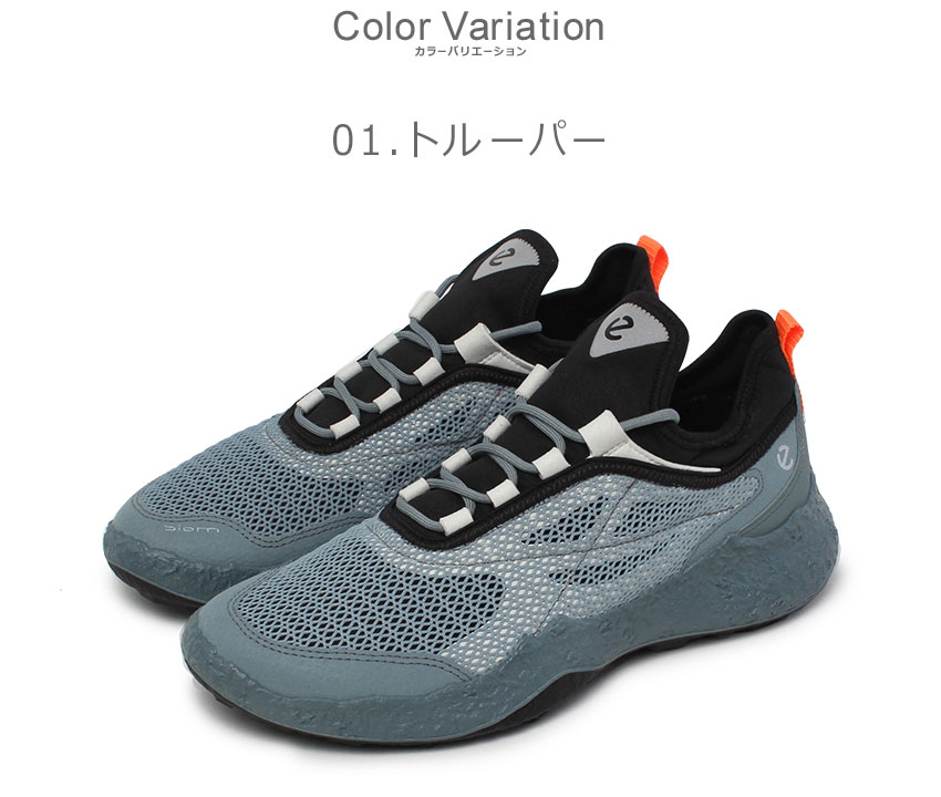 eccoゴルフシューズ size43【新品未使用】白×ブルー レザー ecco エコー ゴルフシューズ メンズ GOLF BIOM H5 ECCO 138004