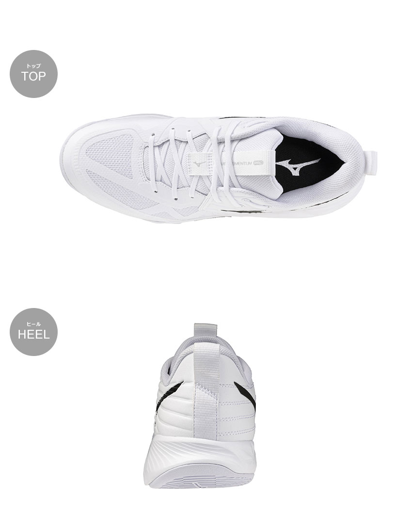 MIZUNO（ミズノ） バレーボールシューズ メンズ レディース ウエーブ