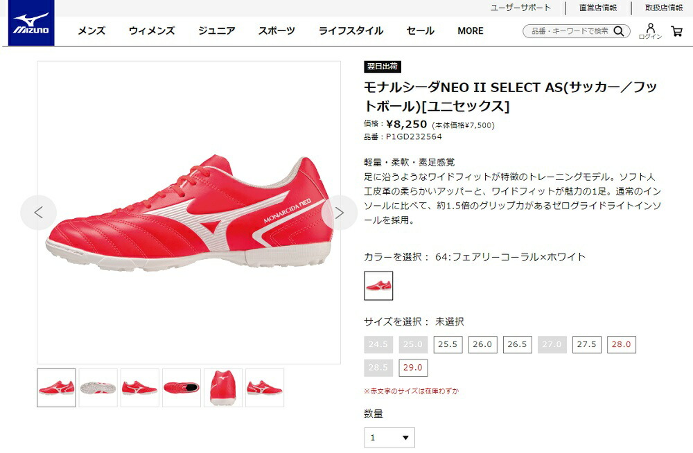 MIZUNO ミズノ サッカー フットサル トレーニングシューズ