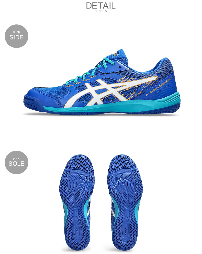 ASICS（アシックス） 卓球シューズ メンズ レディース ASICS 1073A056
