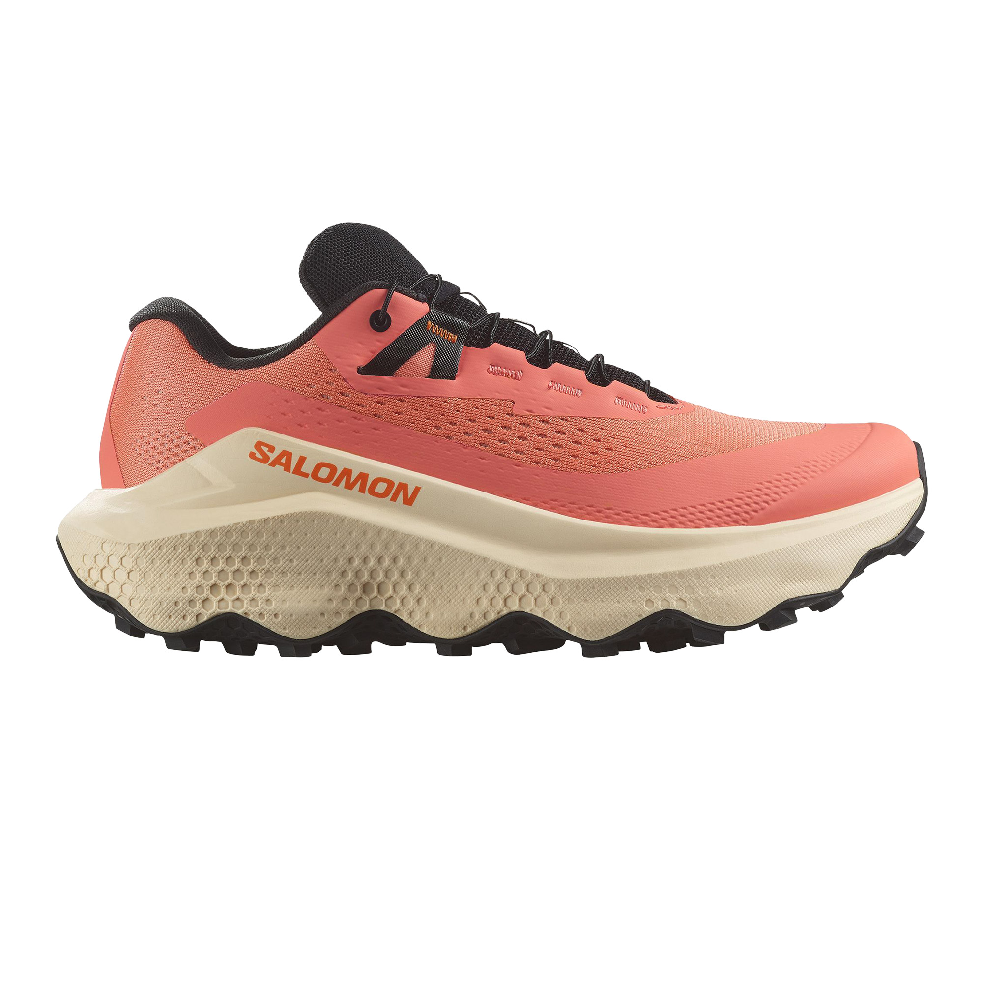 SALOMON サロモン トレイルランニングシューズ レディース ULTRA