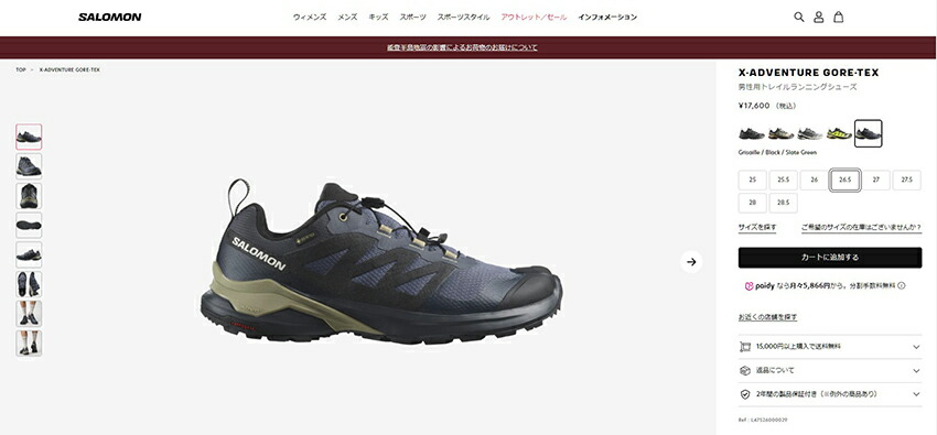 SALOMON（サロモン） ハイキングシューズ メンズ X-ADVENTURE GTX