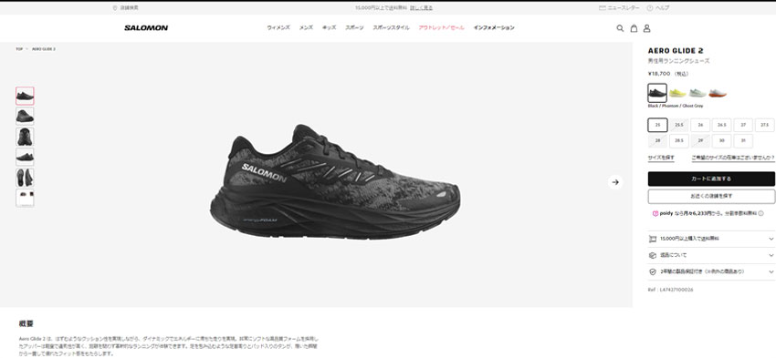 SALOMON（サロモン） ランニングシューズ メンズ AERO GLIDE 2 SALOMON