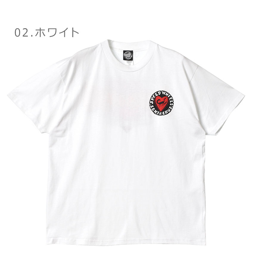 SANTA CRUZ（サンタクルーズ） （ネコポス配送） 半袖Tシャツ メンズ