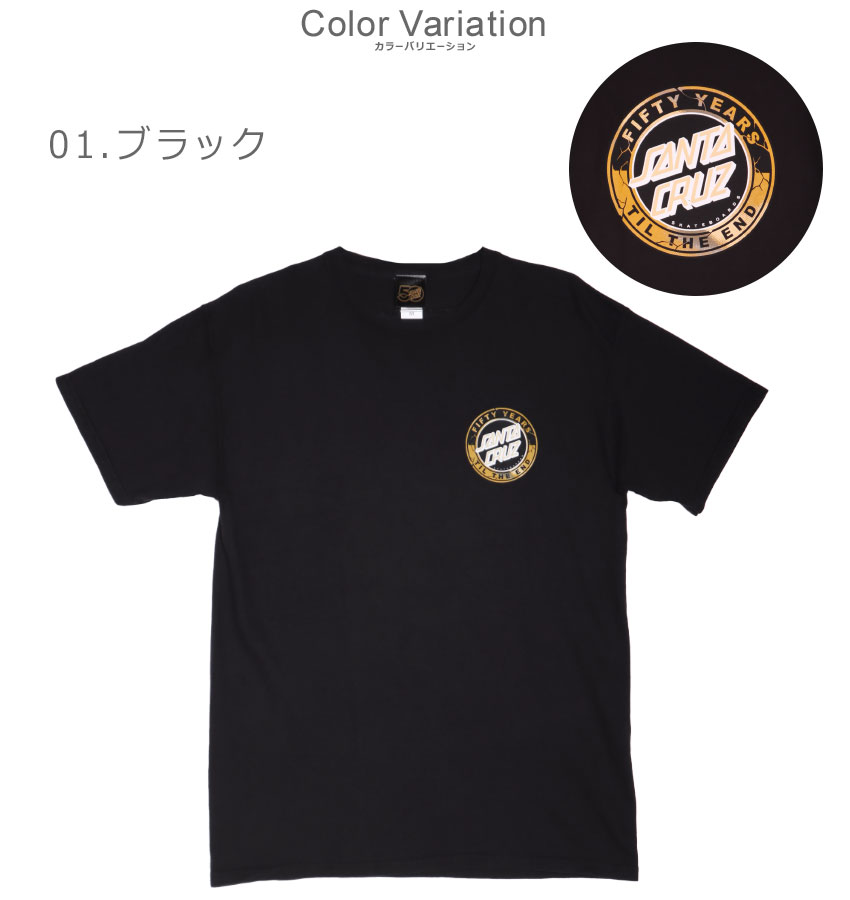 SANTA CRUZ（サンタクルーズ） （ネコポス配送） 半袖Tシャツ メンズ