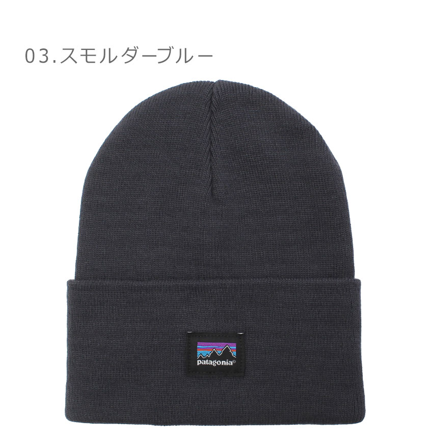 patagonia パタゴニア ニット帽 メンズ レディース エブリデー