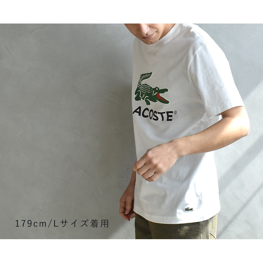 LACOSTE ラコステ Tシャツ テニスウェア 半袖 LACOSTE（ラコステ） 半袖Tシャツ メンズ COTTON JERSEY SIGN PRINT
