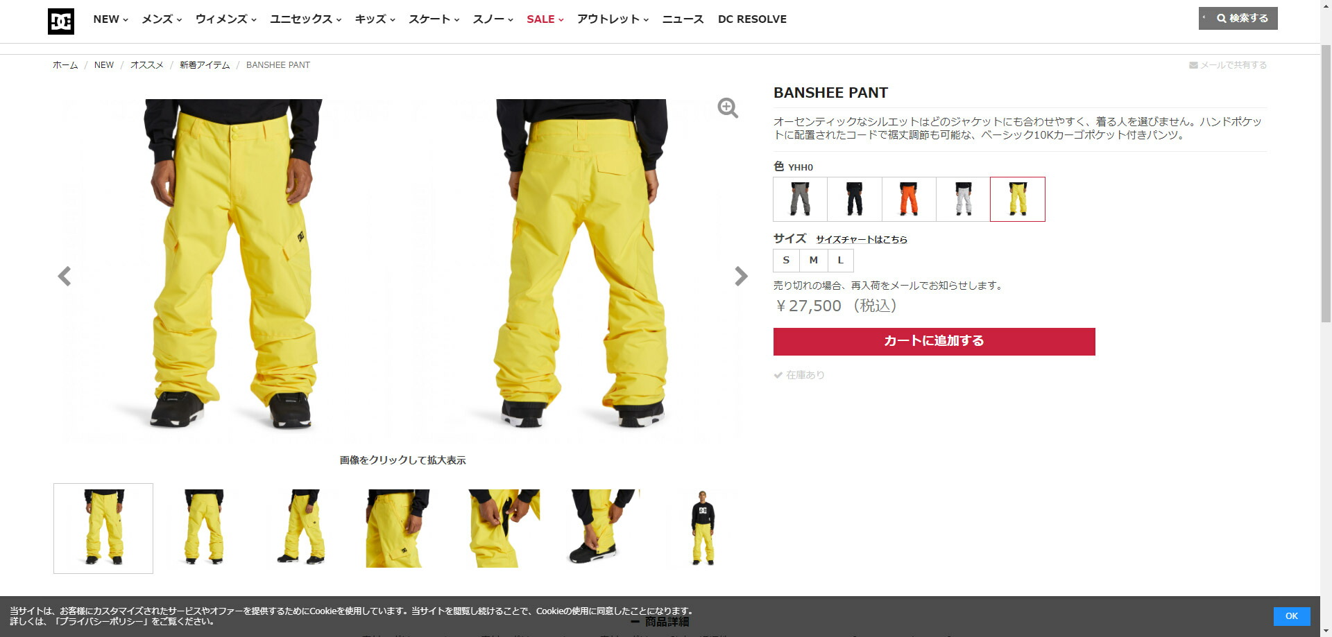 DCシューズ ロングパンツ メンズ BANSHEE PANT DCSHOECOUSA ADYTP03042