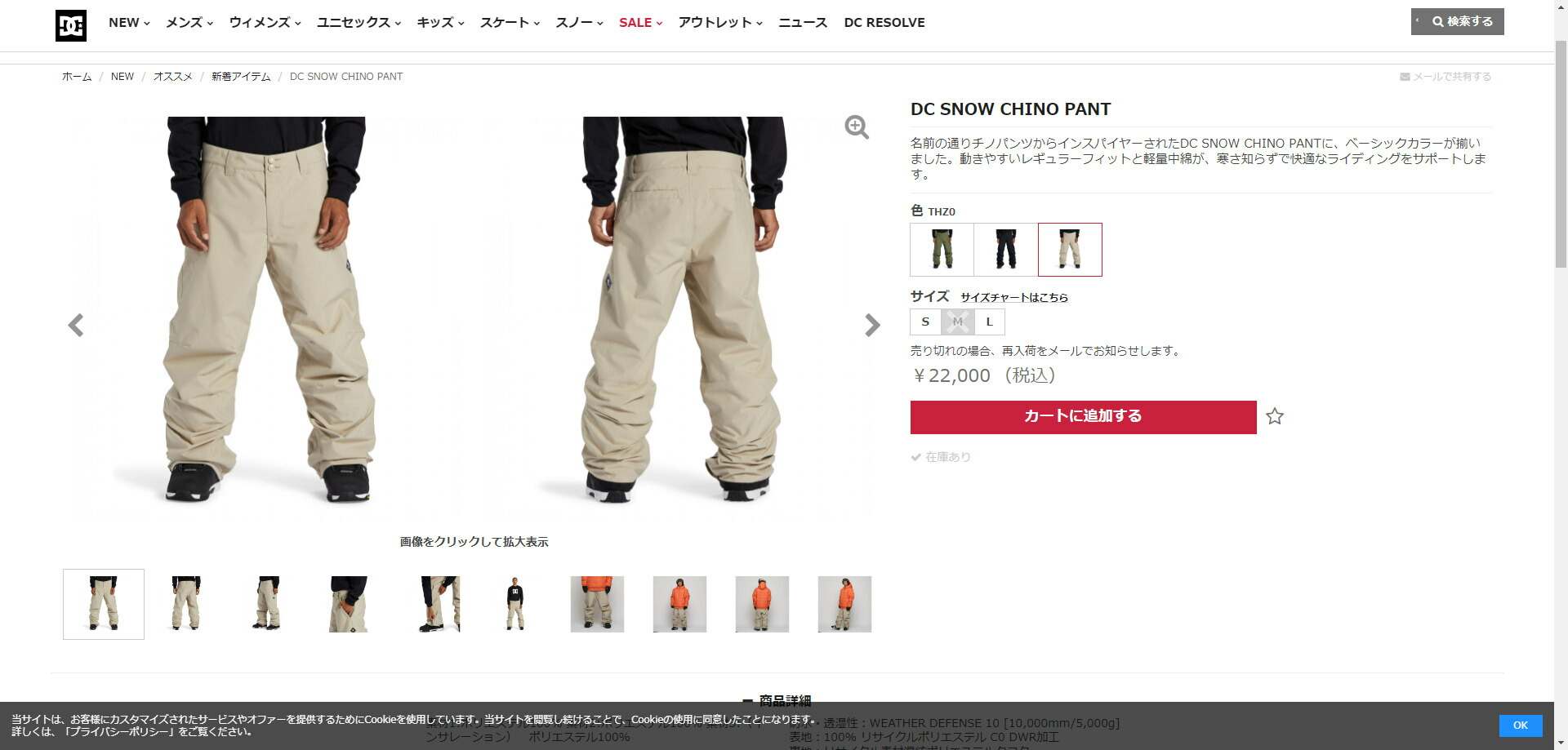 DCシューズ ロングパンツ メンズ DC SNOW CHINO PANT DCSHOECOUSA