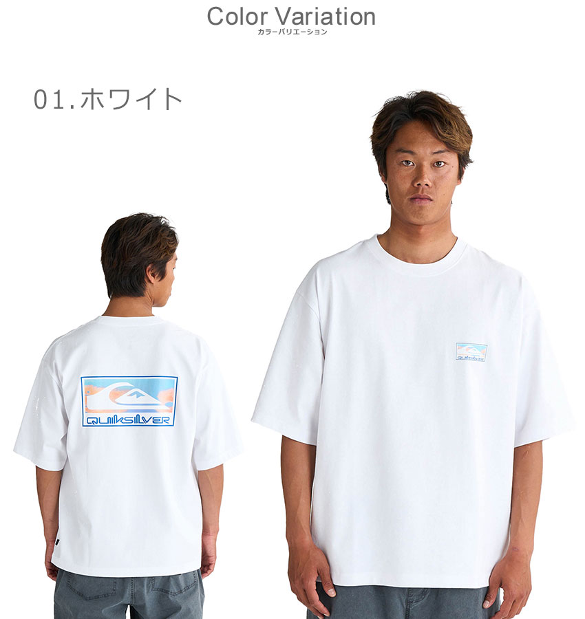 Quiksilver （ネコポス配送） クイックシルバー 半袖Tシャツ