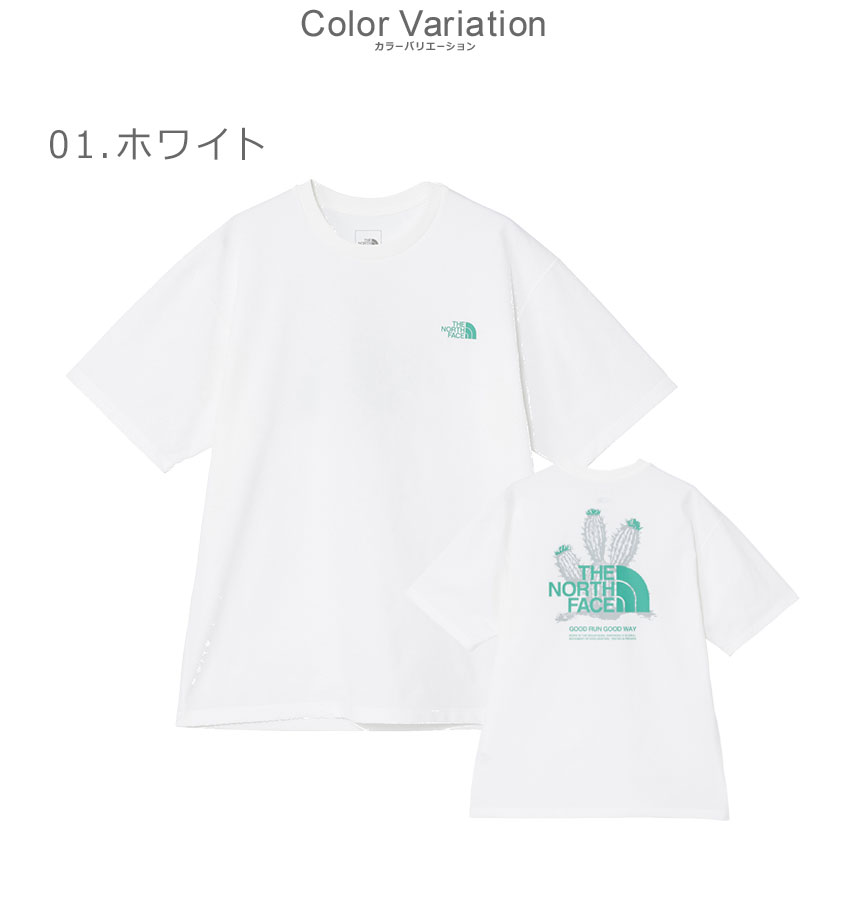 THE NORTH FACE（ザ ノースフェイス） Tシャツ メンズ レディース THE