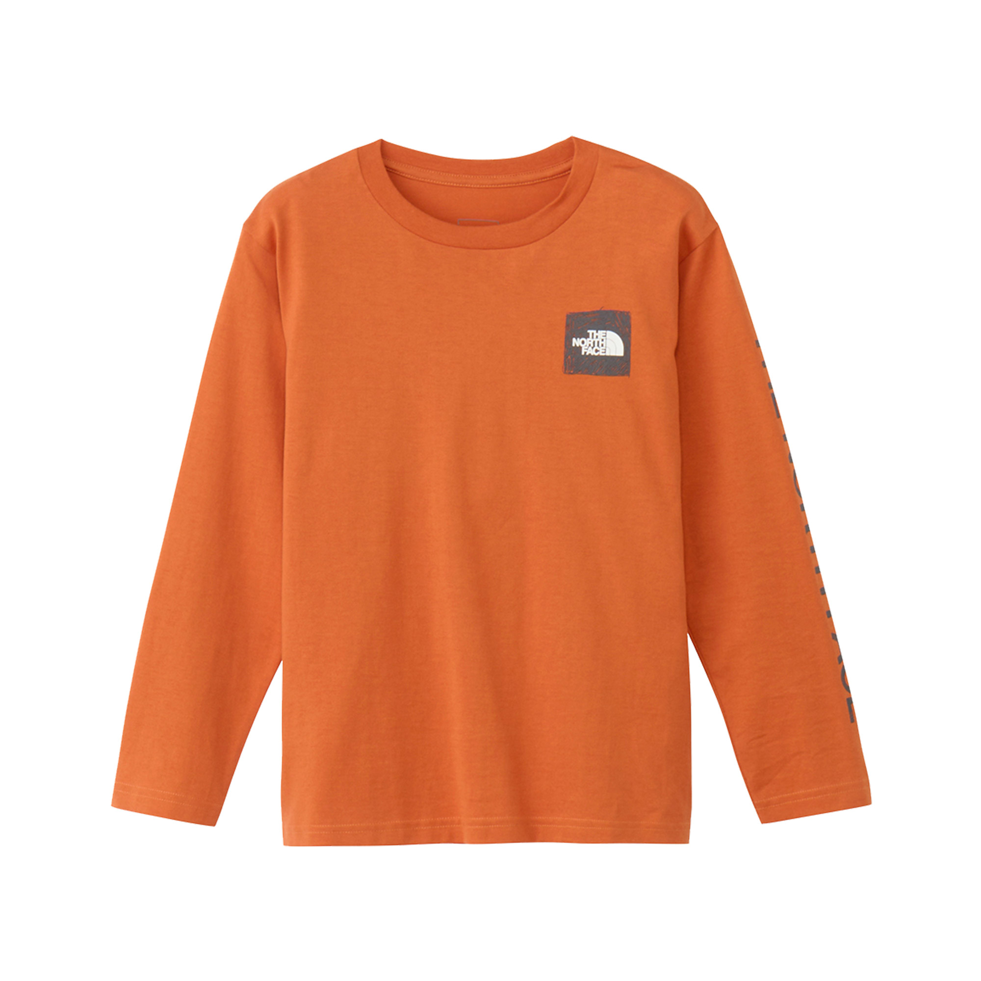 ザ・ノース・フェイス 長袖Tシャツ キッズ ジュニア 子供 ロングスリーブスリーブグラフィックティー THE NORTH FACE NTJ32537 | THE NORTH FACE | 02