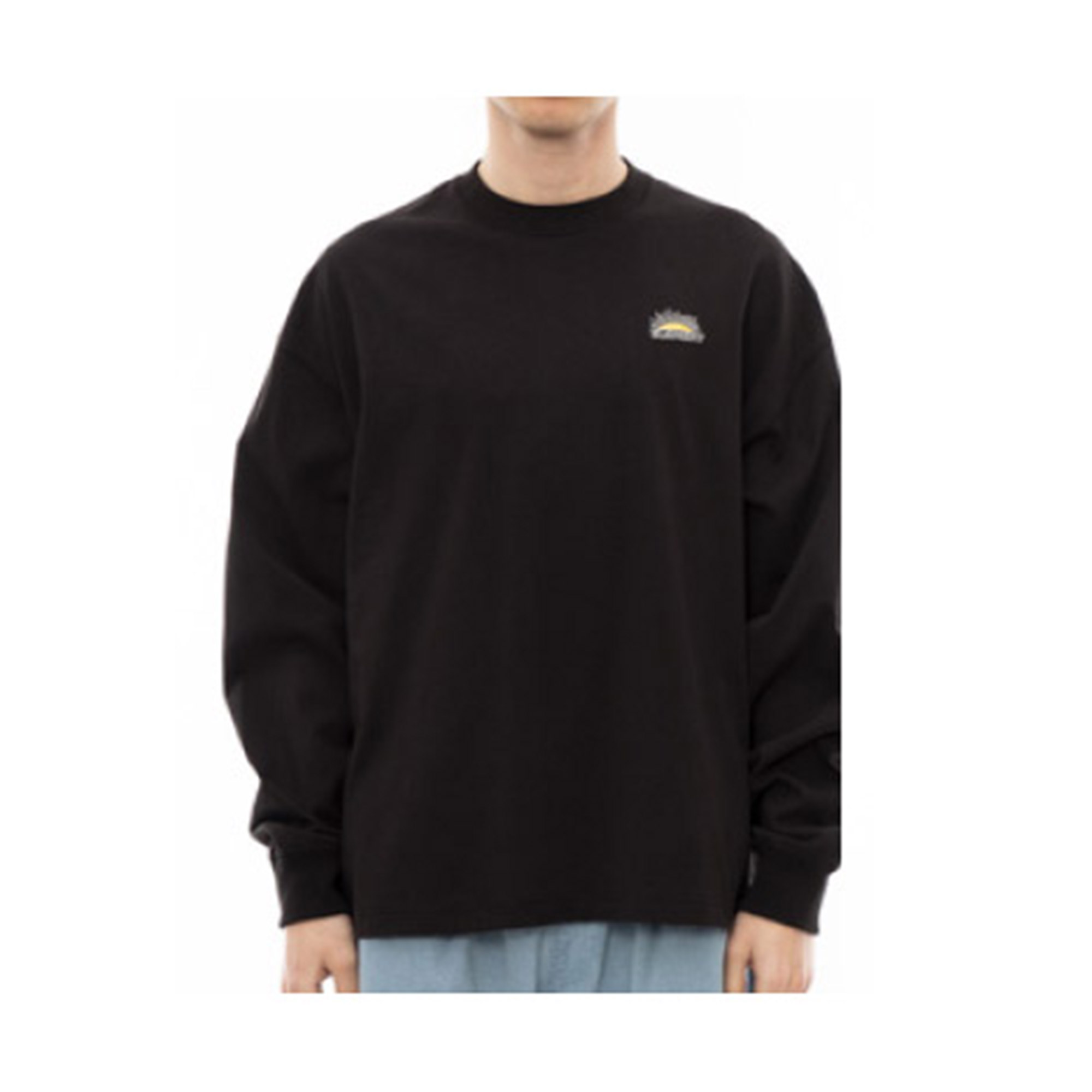 ELEMENT エレメント 長袖Tシャツ メンズ TIMBER PHOENIX LS ロン