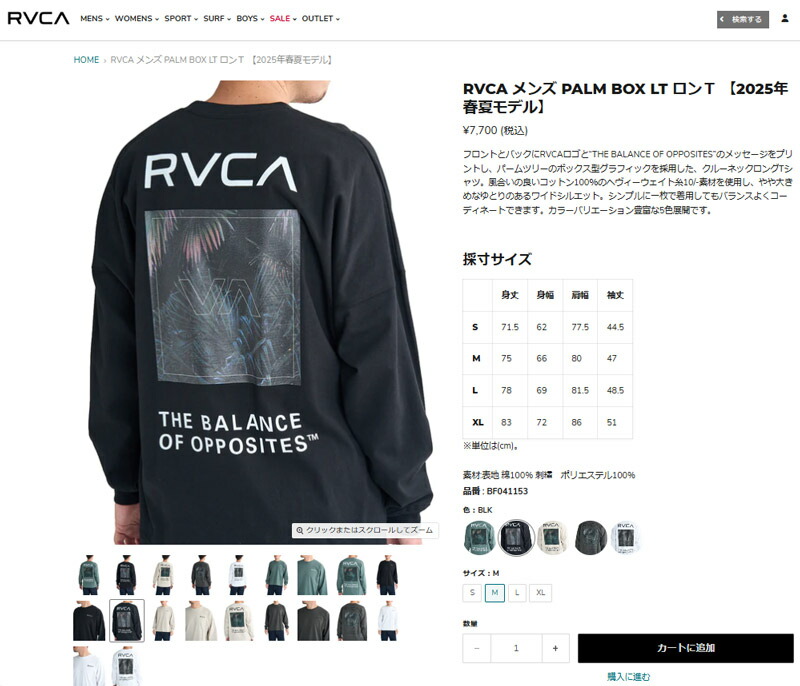 RVCA（ルーカ） 長袖Tシャツ メンズ PALM BOX LT ロンT RVCA BF041153