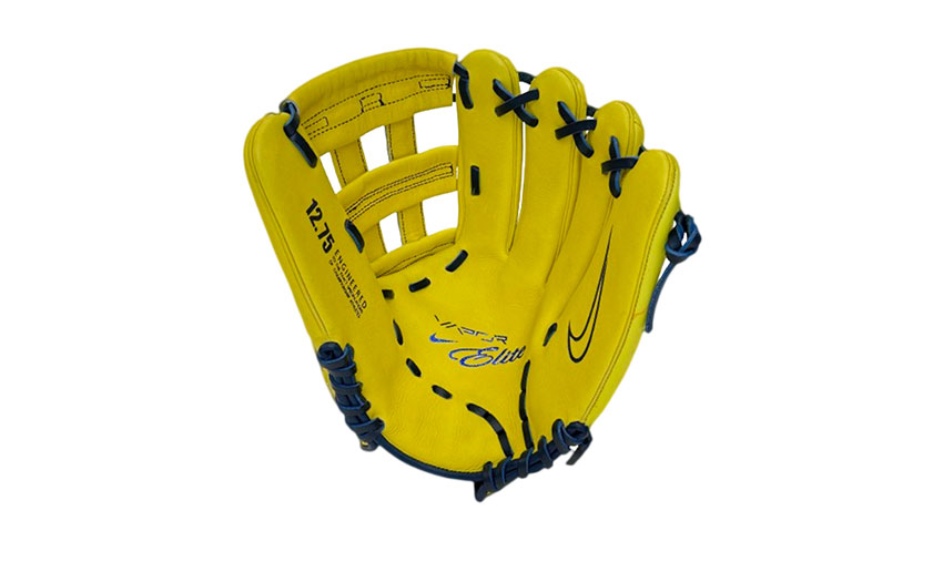 ナイキ グローブ メンズ レディース ヴェイパーエリート アクーニャ