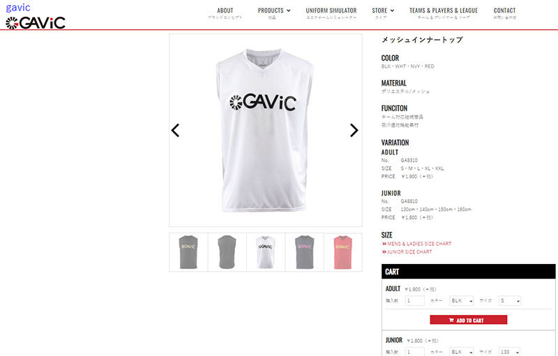 GAViC（ガビック） （ネコポス配送） インナー メンズ 男性用 MESH 