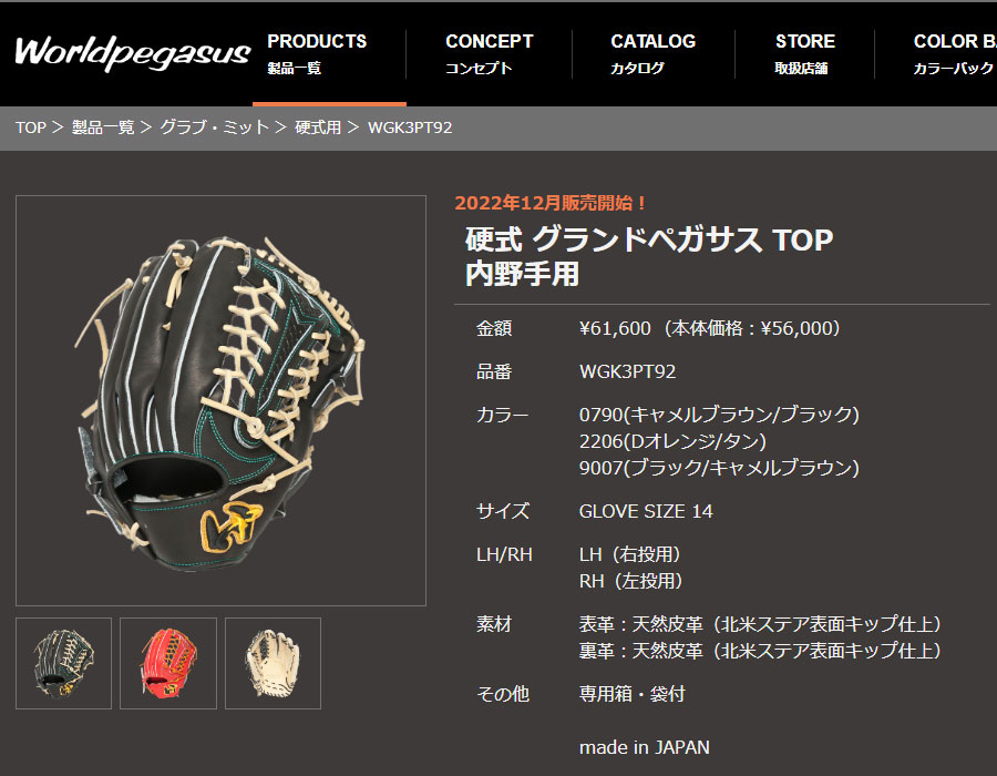 ワールドペガサス（WORLD PEGASUS） グローブ メンズ レディース 硬式