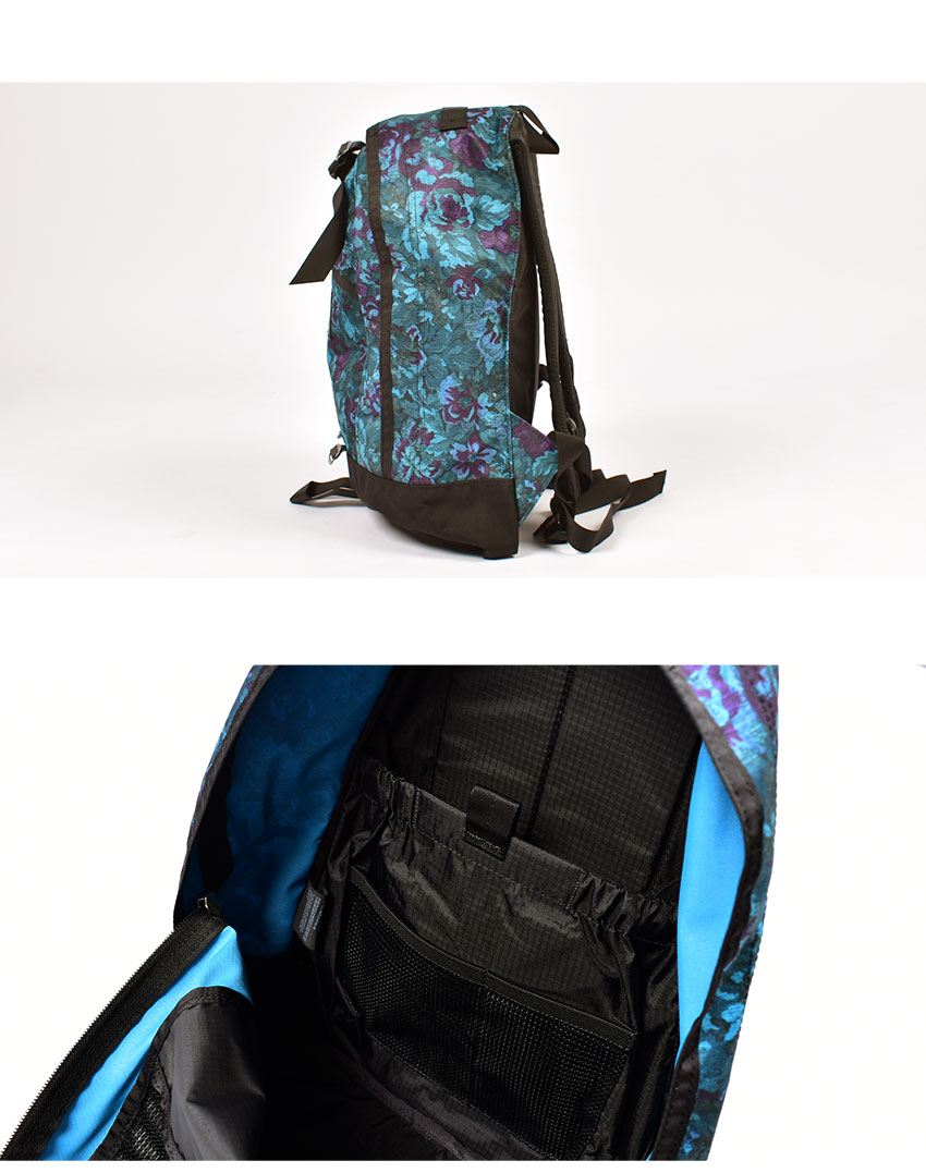 GREGORY リュック バックパック ファインデイ V2 146492 GREGORY グレゴリー バックパック メンズ レディース ファイン