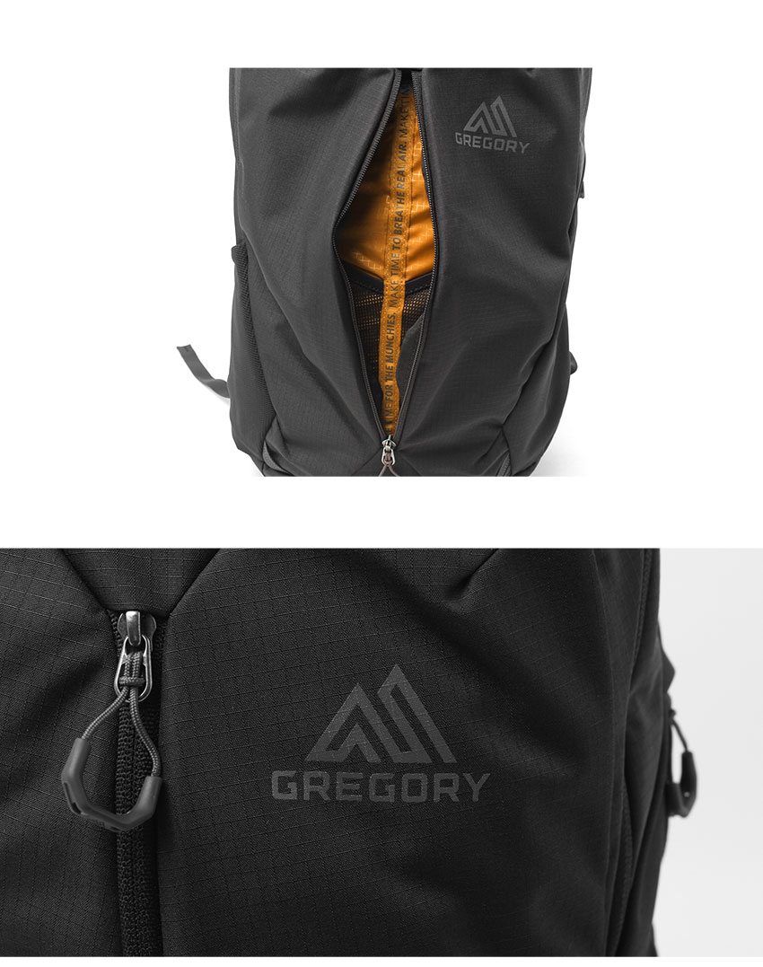 GREGORY（グレゴリー） バックパック メンズ レディース ルーヌ20