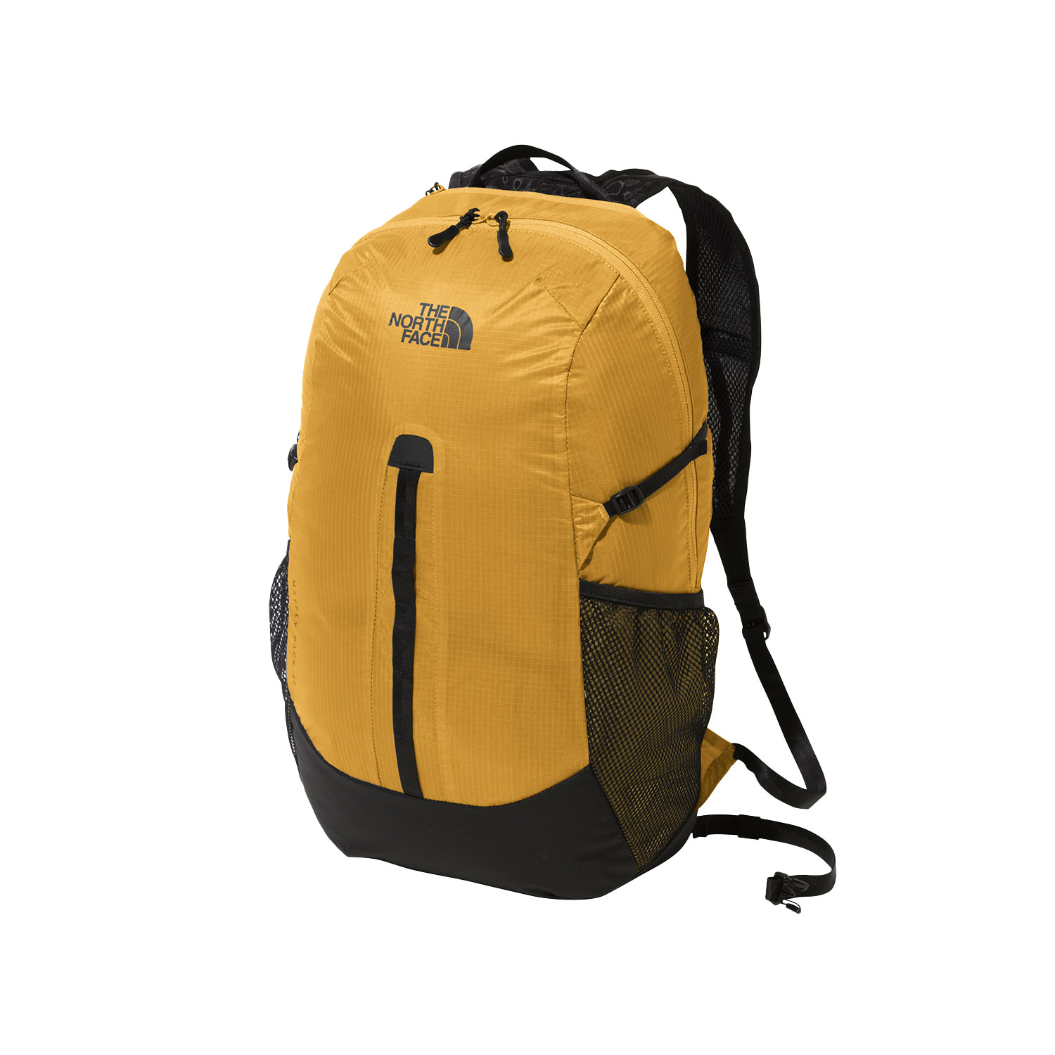 THE NORTH FACE ザ・ノース・フェイス バックパック メンズ