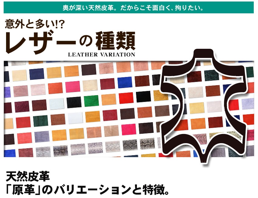 皮革の実際知識 皮革の実際知識 - メルカリ