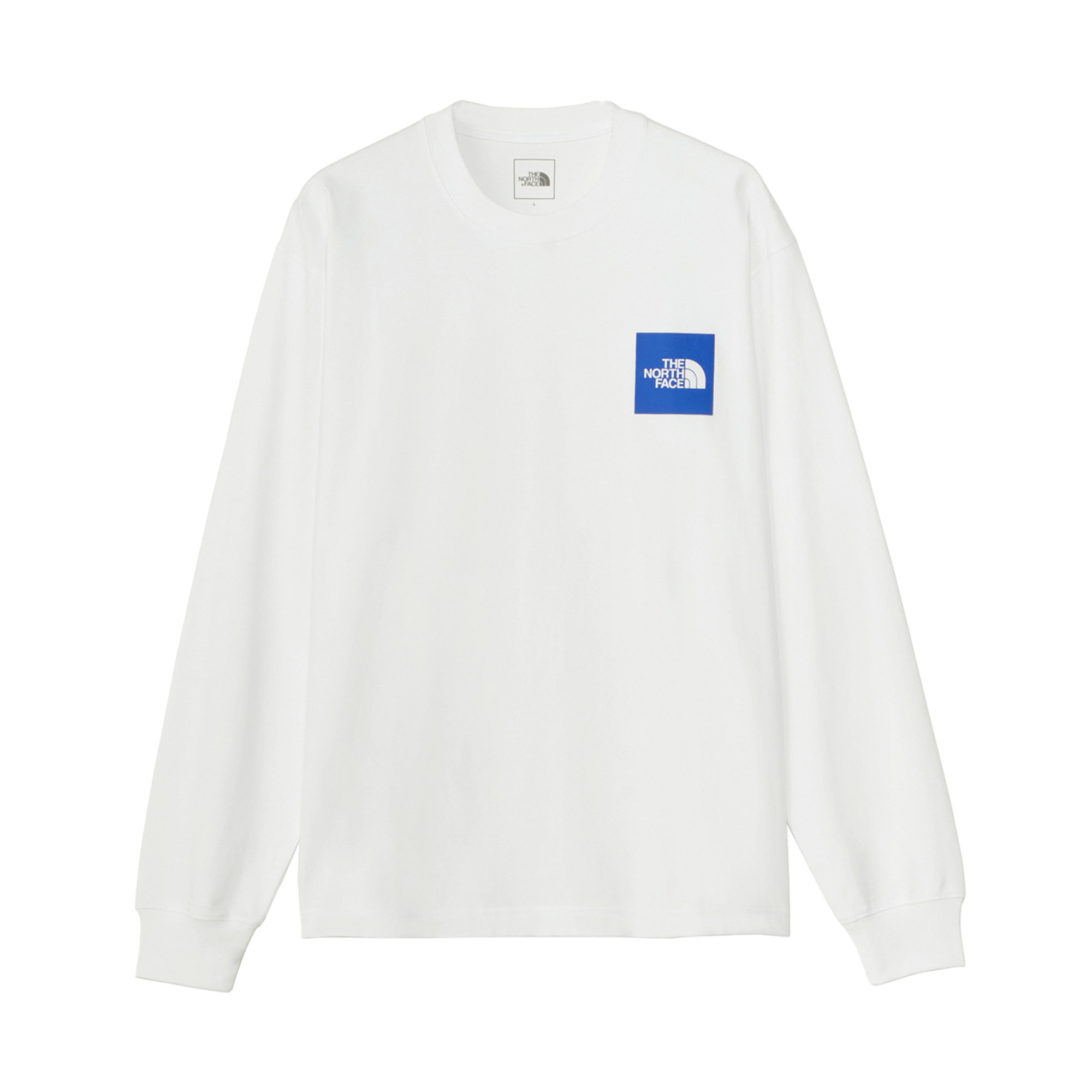 THE NORTH FACE（ザ ノースフェイス） 長袖Tシャツ メンズ レディース 