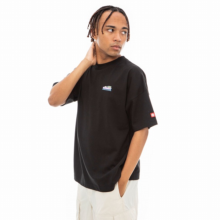 ELEMENT（エレメント） （ネコポス配送） エレメントTシャツ メンズ GO