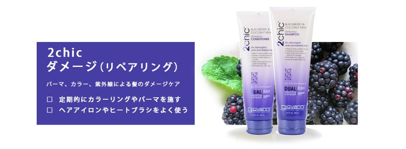 ［新品］ジョバンニ　アメリカ製　ダメージコンディショナー　710ml ５本 giovanni】2chic ダメージシャンプー ビッグボトル（710mL