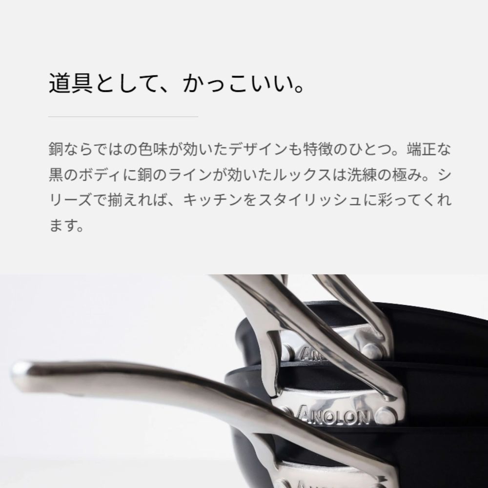 アナロン ヌーヴェルカッパー マイヤー MEYER フライパン ルクス 20cm