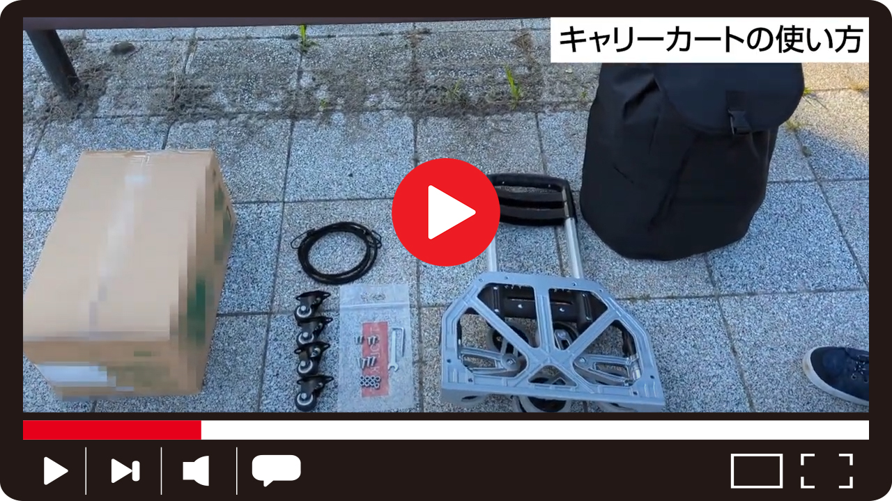 Amazon.co.jp: Zabuuun! キャリーカート 10輪 耐荷重80kg