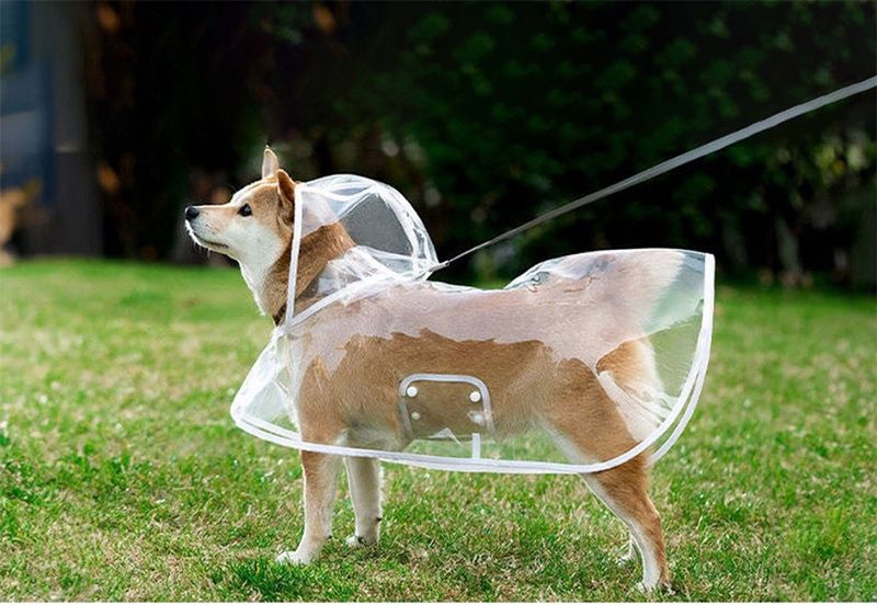犬 レインコート 雨 カッパ 撥水 EVA素材...の詳細画像1