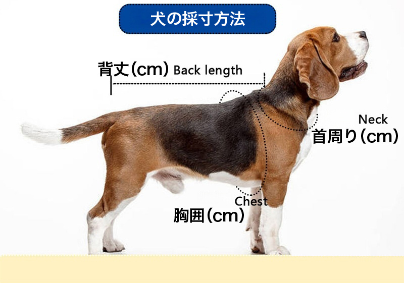 犬 レインコート 雨 カッパ 撥水 EVA素材...の詳細画像3